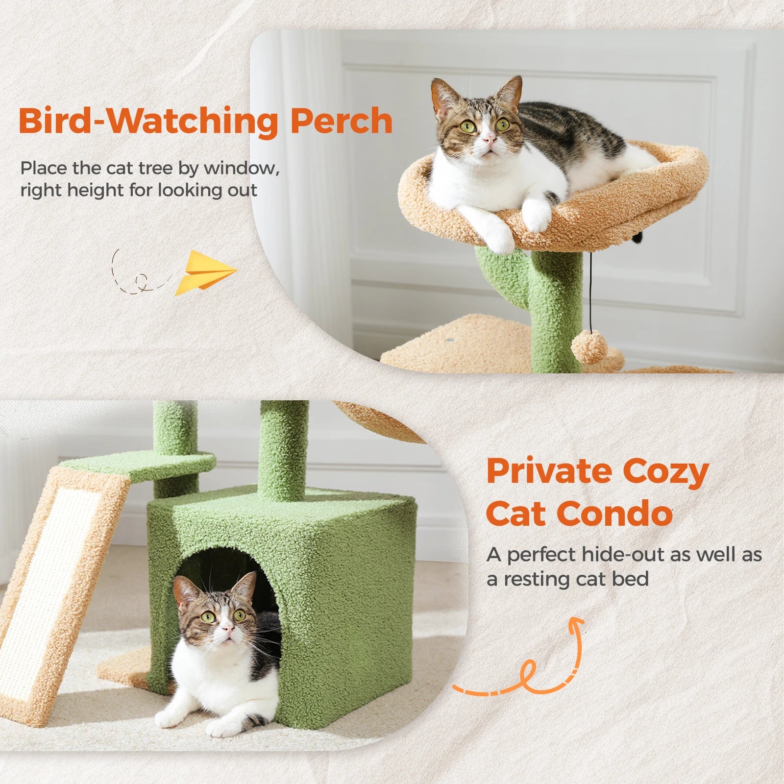 Arbre à chat PAWZ Road pour intérieur | Hamac, niche et griffoirs en sisal