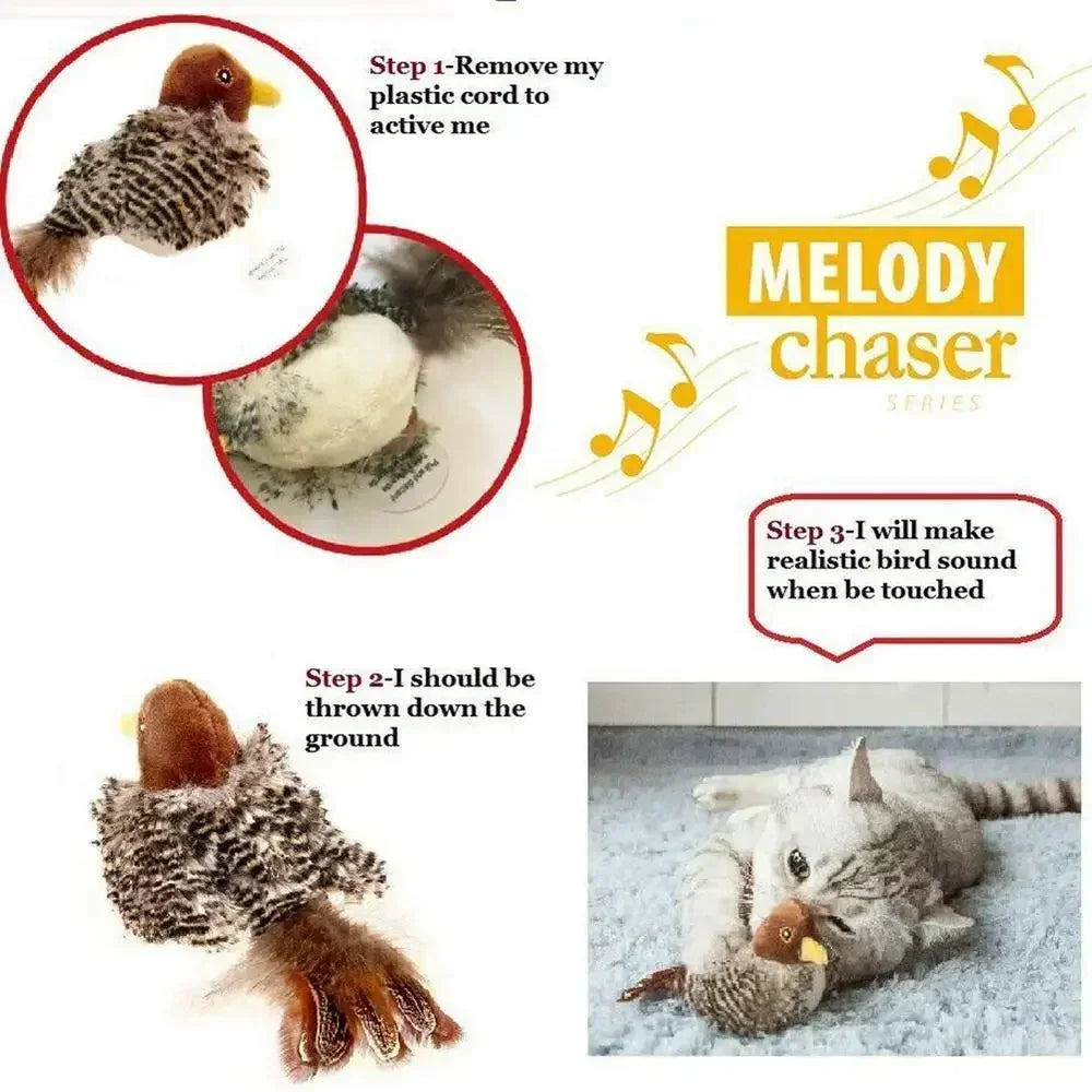Jouets interactifs lavables pour chat, oiseau volant en peluche, grincement, chat, moineau, herbe-aux-chats, Simulation d'oiseau vif, interactif