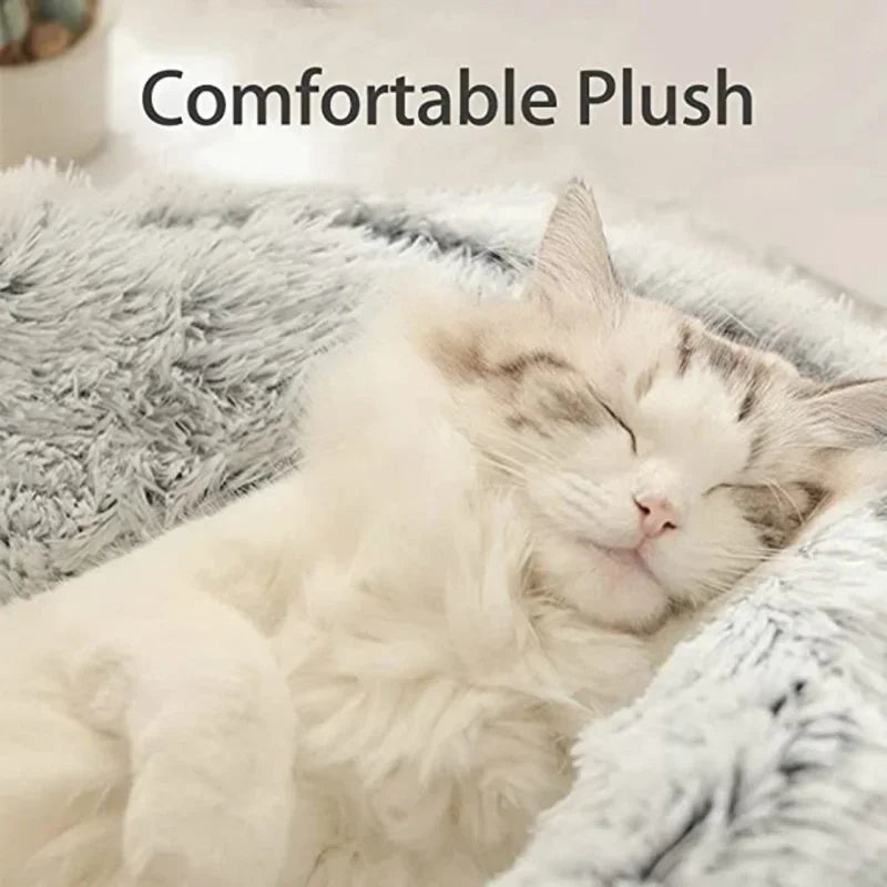 Lit d'hiver en peluche pour chat, coussin rond pour chat, maison pour chat 2 en 1, panier chaud pour chats, sac de couchage pour animaux de compagnie, nid pour chaton, chenil pour petits chiens et chats