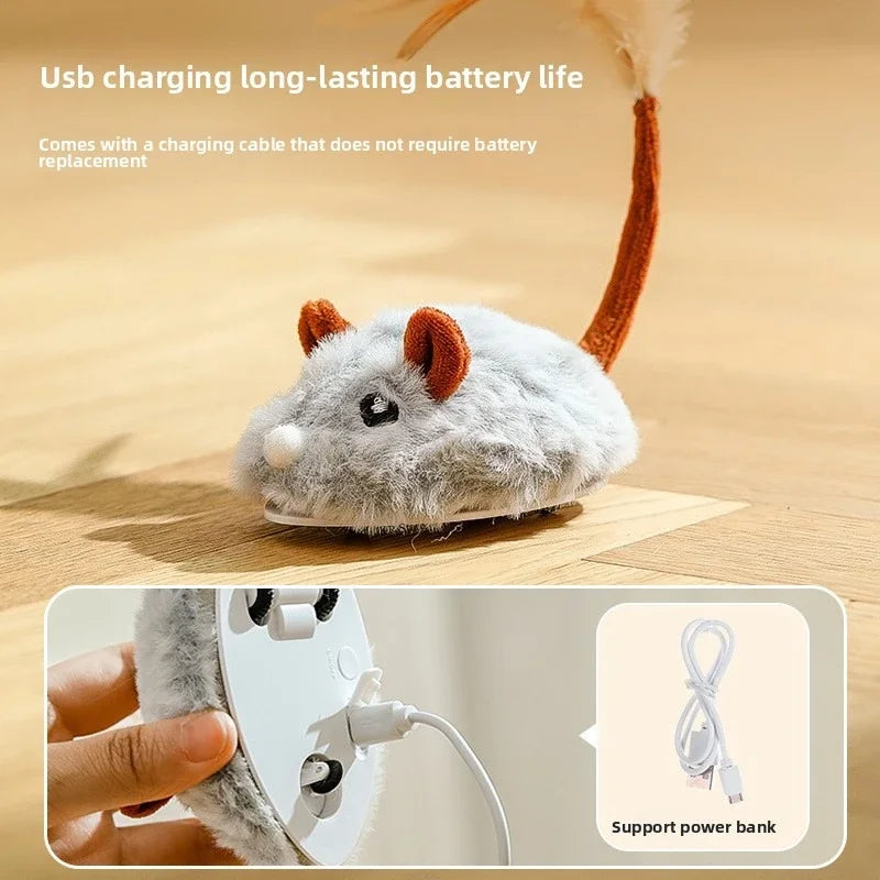 Jouet en peluche réaliste pour chat, souris interactive avec queue de chien pour chats, jouets pour chatons pour jouer en intérieur et