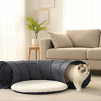 Nouveau tunnel pliable pour chat d'intérieur, résistant aux griffures, avec coussin moelleux, ensemble de jouets interactifs pour chat, jeu de cache-cache, tunnel, fournitures pour animaux de compagnie