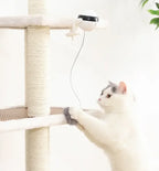Jouet à mouvement électronique pour chat, boule de levage YoYo, battement électrique, teaser coule pour chat, puzzle rotatif coule, jouet pour animal de compagnie