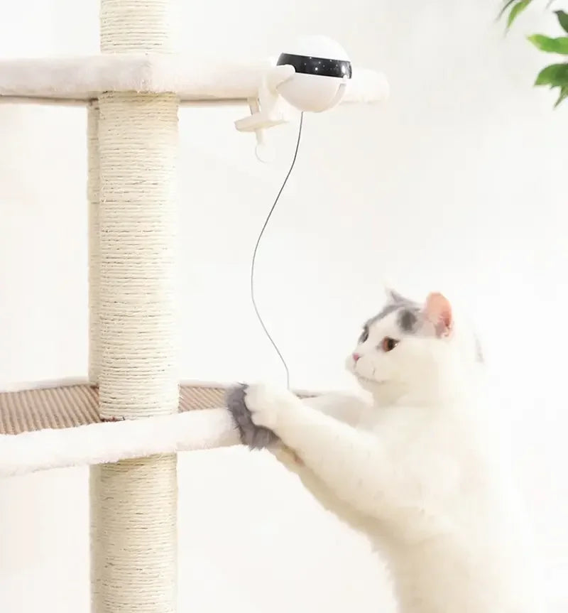 Jouet à mouvement électronique pour chat, boule de levage YoYo, battement électrique, teaser coule pour chat, puzzle rotatif coule, jouet pour animal de compagnie