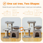 Arbre à chat PAWZ Road pour intérieur | Hamac, niche et griffoirs en sisal