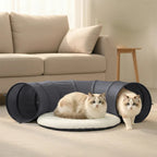 Nouveau tunnel pliable pour chat d'intérieur, résistant aux griffures, avec coussin moelleux, ensemble de jouets interactifs pour chat, jeu de cache-cache, tunnel, fournitures pour animaux de compagnie