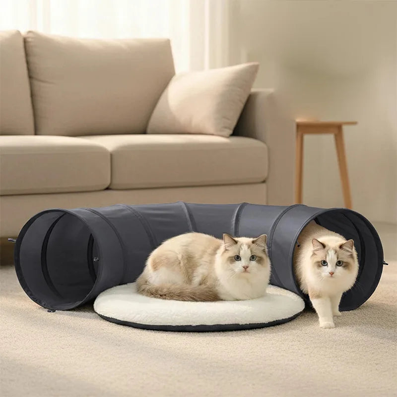 Nouveau tunnel pliable pour chat d'intérieur, résistant aux griffures, avec coussin moelleux, ensemble de jouets interactifs pour chat, jeu de cache-cache, tunnel, fournitures pour animaux de compagnie