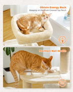 Arbre à chat PAWZ Road pour intérieur | Hamac, niche et griffoirs en sisal