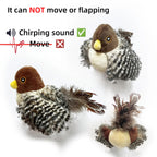 Jouets interactifs lavables pour chat, oiseau volant en peluche, grincement, chat, moineau, herbe-aux-chats, Simulation d'oiseau vif, interactif