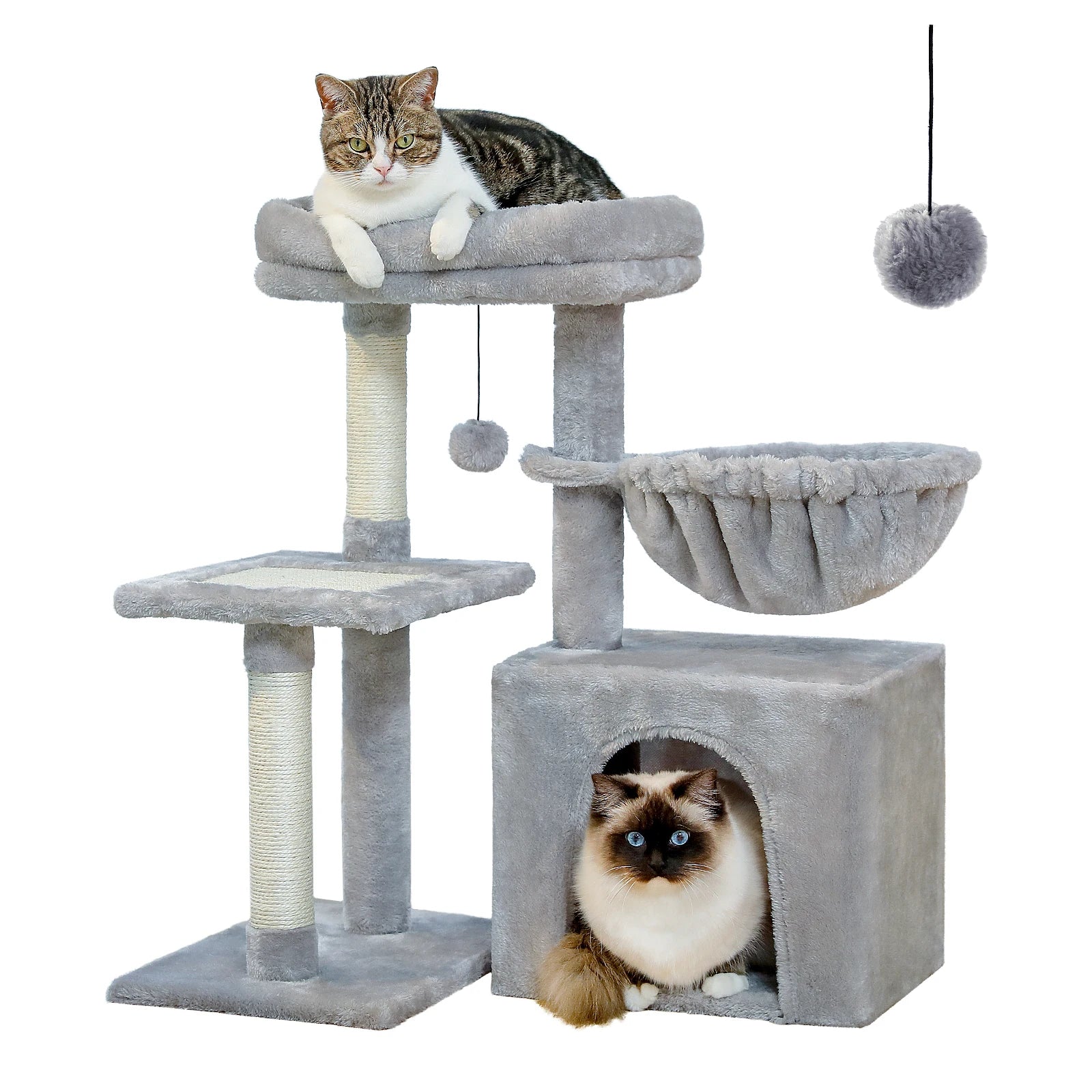 Arbre à chat PAWZ Road pour intérieur | Hamac, niche et griffoirs en sisal
