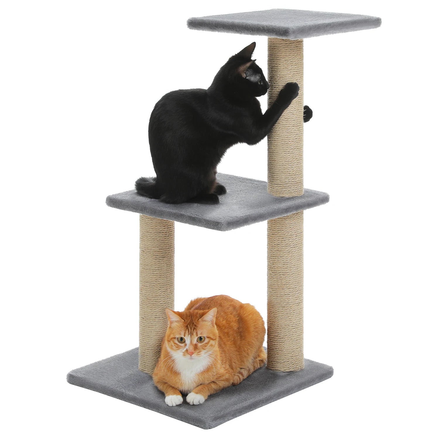 Arbre à chat PAWZ Road pour intérieur | Hamac, niche et griffoirs en sisal
