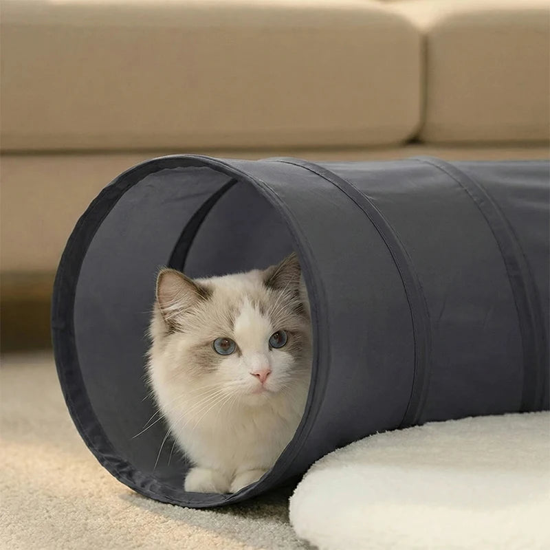Nouveau tunnel pliable pour chat d'intérieur, résistant aux griffures, avec coussin moelleux, ensemble de jouets interactifs pour chat, jeu de cache-cache, tunnel, fournitures pour animaux de compagnie
