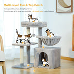 Arbre à chat PAWZ Road pour intérieur | Hamac, niche et griffoirs en sisal
