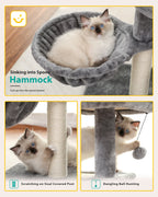 Arbre à chat PAWZ Road pour intérieur | Hamac, niche et griffoirs en sisal