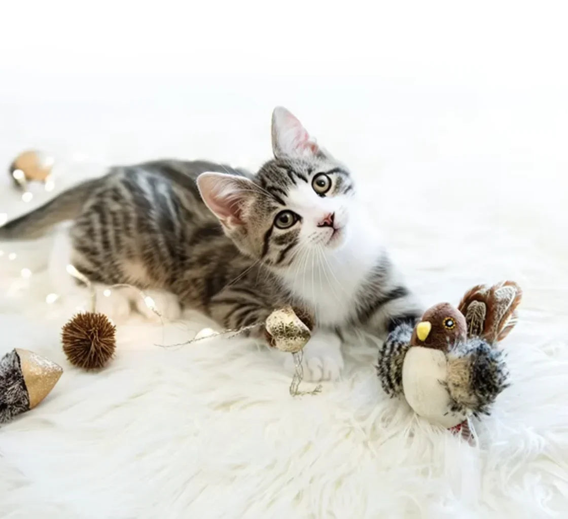 Jouets interactifs lavables pour chat, oiseau volant en peluche, grincement, chat, moineau, herbe-aux-chats, Simulation d'oiseau vif, interactif