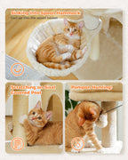 Arbre à chat PAWZ Road pour intérieur | Hamac, niche et griffoirs en sisal