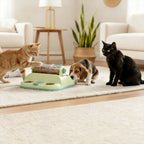 Distributeur de nourriture interactif multi-puzzles pour chats et chiens, jouet anti-glouton pour la stimulation mentale et le soulagement de l'ennui