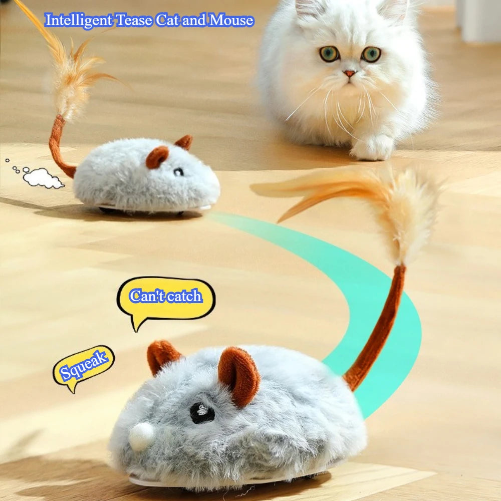Jouet en peluche réaliste pour chat, souris interactive avec queue de chien pour chats, jouets pour chatons pour jouer en intérieur et