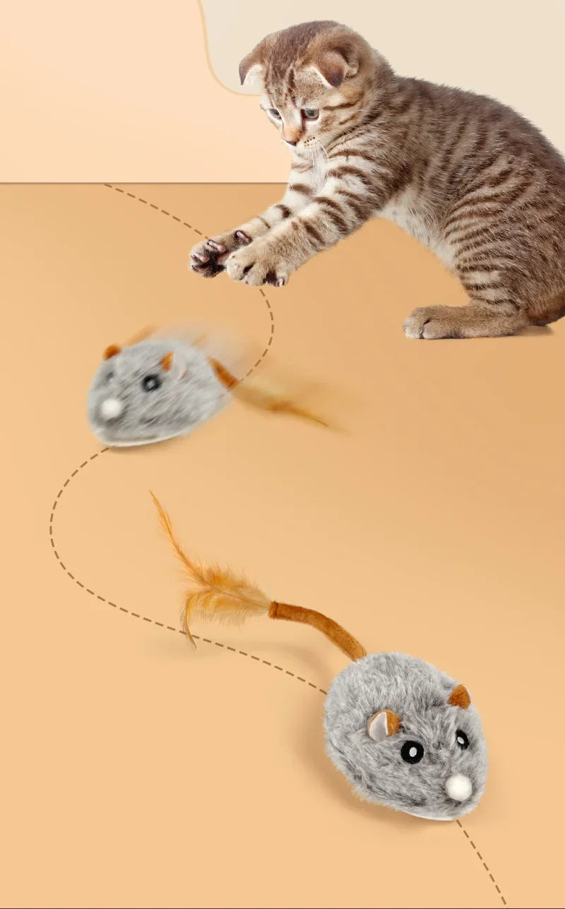 Jouet en peluche réaliste pour chat, souris interactive avec queue de chien pour chats, jouets pour chatons pour jouer en intérieur et