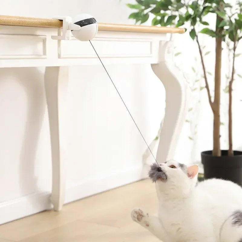 Jouet à mouvement électronique pour chat, boule de levage YoYo, battement électrique, teaser coule pour chat, puzzle rotatif coule, jouet pour animal de compagnie