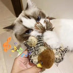 Jouets interactifs lavables pour chat, oiseau volant en peluche, grincement, chat, moineau, herbe-aux-chats, Simulation d'oiseau vif, interactif
