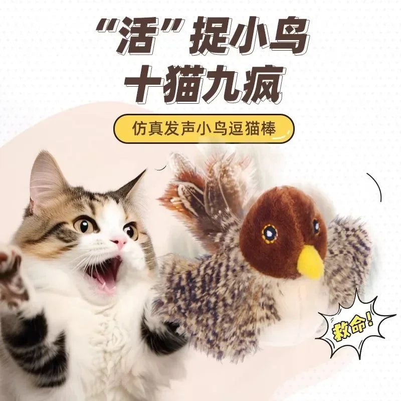 Jouets interactifs lavables pour chat, oiseau volant en peluche, grincement, chat, moineau, herbe-aux-chats, Simulation d'oiseau vif, interactif
