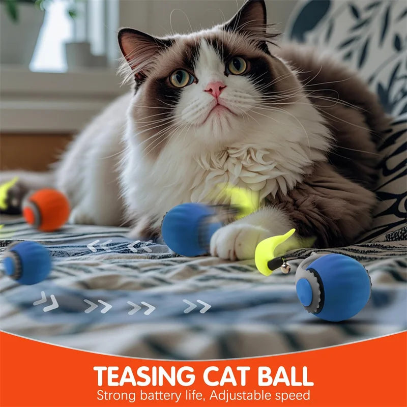 Balle automatique ChaseBall™ | Mouvement automatique rechargeable USB-C