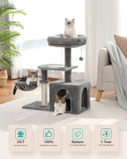 Arbre à chat PAWZ Road pour intérieur | Hamac, niche et griffoirs en sisal