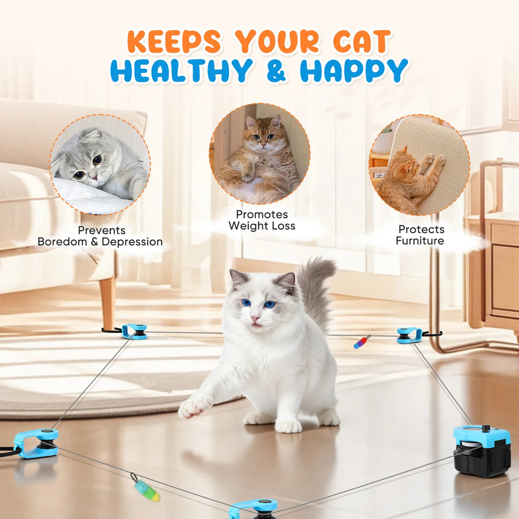 Jouets intelligents pour chats d'intérieur, jouet interactif pour chat, roue d'exercice pour chats, tapis roulant pour chats 5 vitesses avec vitesse réglable, jouet de simulation de chasse