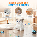 Jouets intelligents pour chats d'intérieur, jouet interactif pour chat, roue d'exercice pour chats, tapis roulant pour chats 5 vitesses avec vitesse réglable, jouet de simulation de chasse