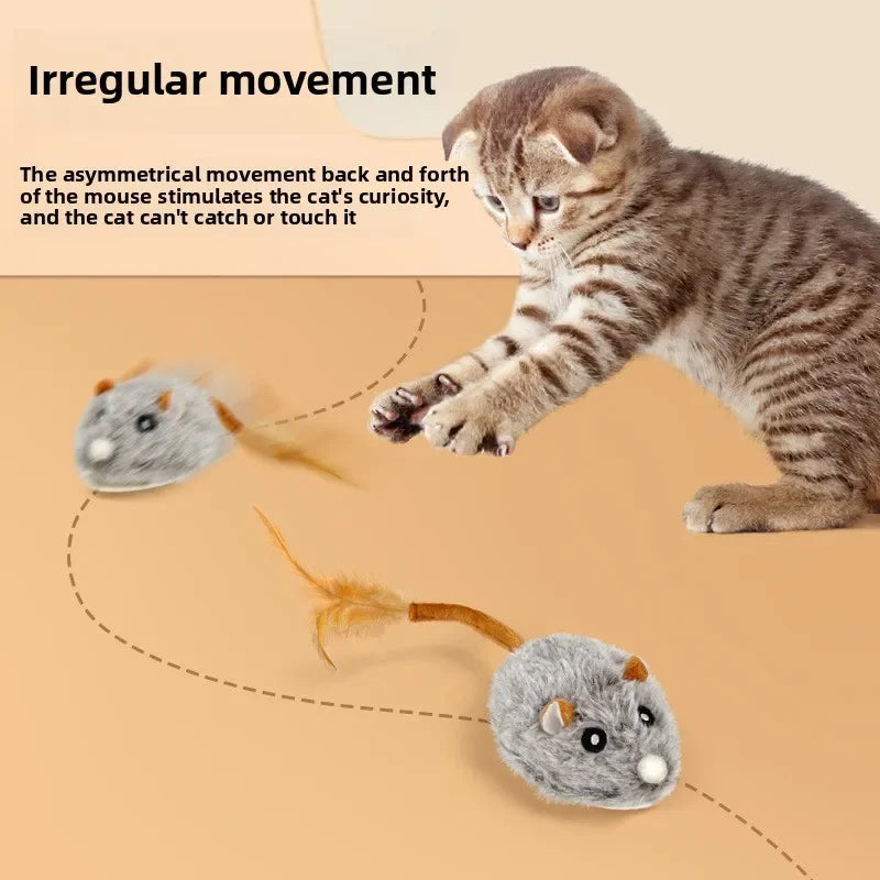 Jouet en peluche réaliste pour chat, souris interactive avec queue de chien pour chats, jouets pour chatons pour jouer en intérieur et