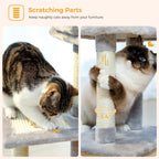 Arbre à chat PAWZ Road pour intérieur | Hamac, niche et griffoirs en sisal