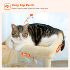 Arbre à chat PAWZ Road pour intérieur | Hamac, niche et griffoirs en sisal