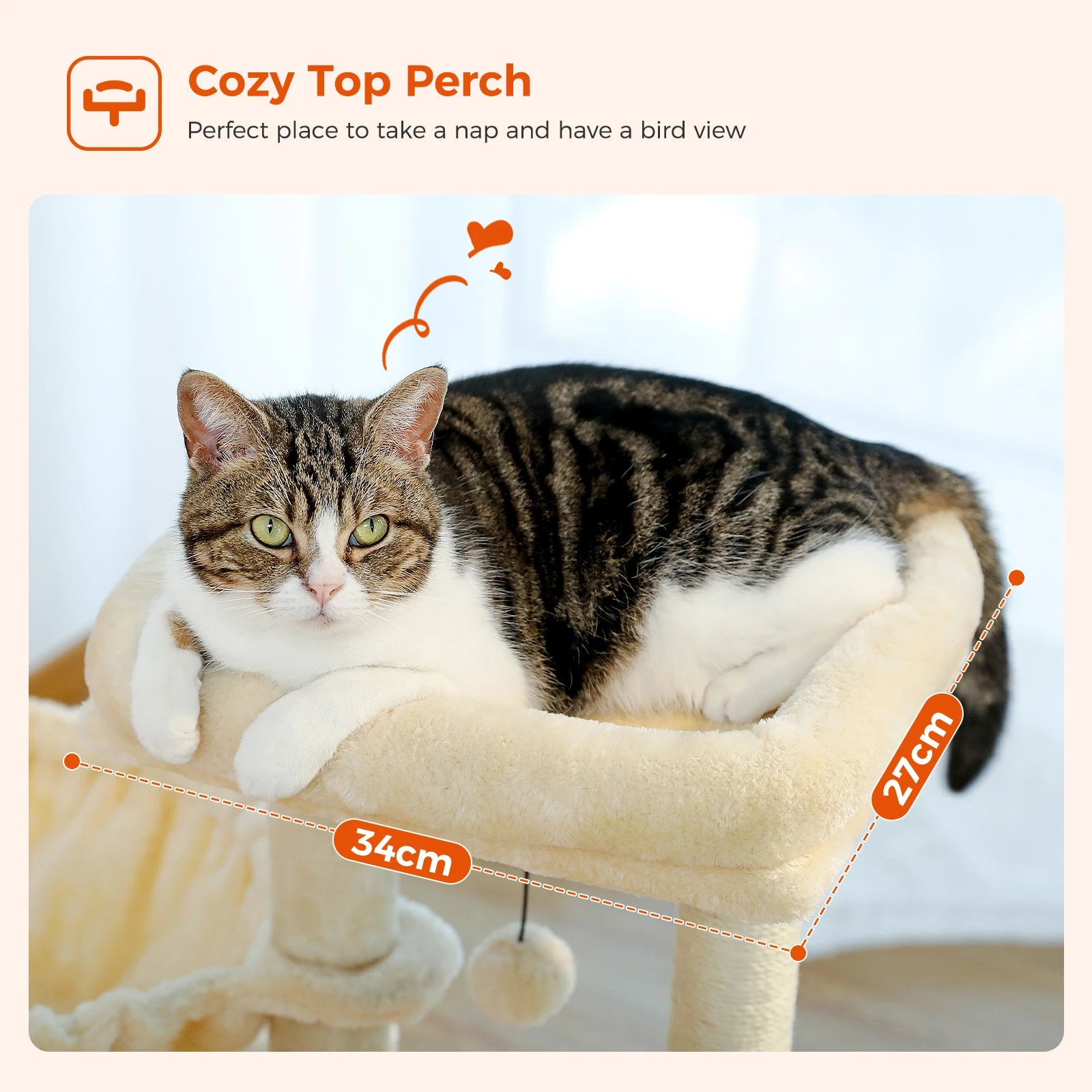 Arbre à chat PAWZ Road pour intérieur | Hamac, niche et griffoirs en sisal