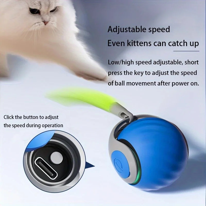 Balle automatique ChaseBall™ | Mouvement automatique rechargeable USB-C