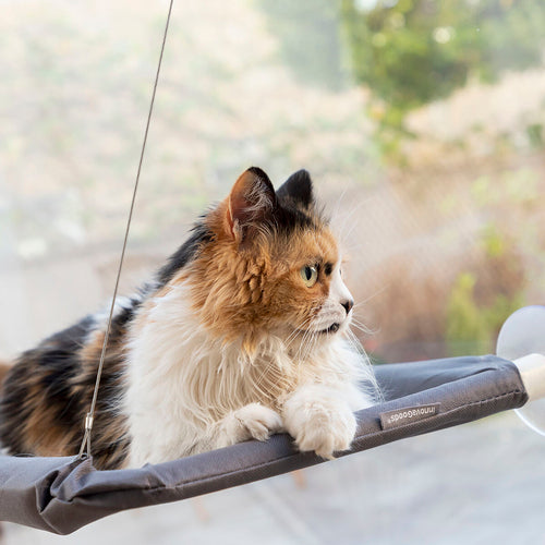 Catlax InnovaGoods Hanging Cat Hammock