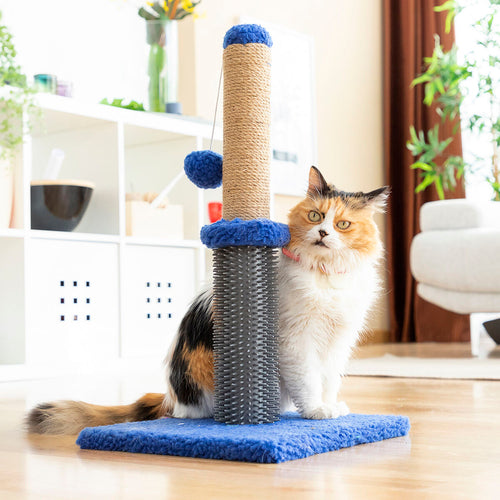 Miausage InnovaGoods Massaging Scratcher with Ball