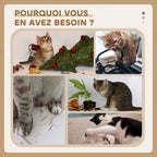 PawHut Arbre à chat hauteur 130 cm, tour de jeux pour chat, platesformes, niche, lit, hamac, échelle et 2 balles en peluche, griffoirs en jute, plusieux niveaux, jaune