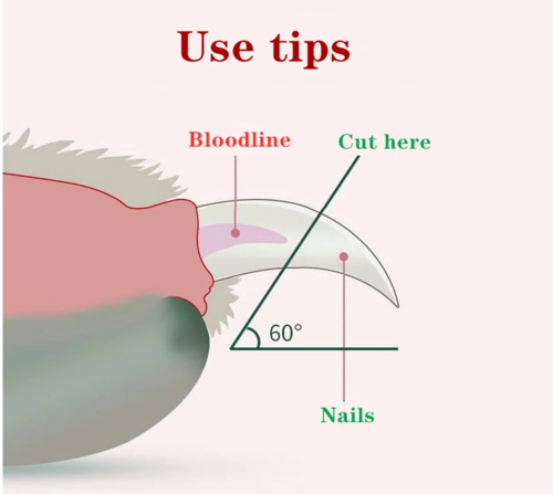 Coupe-ongles LED pour Chat et Chiot — Sécurité Anti-Blessure
