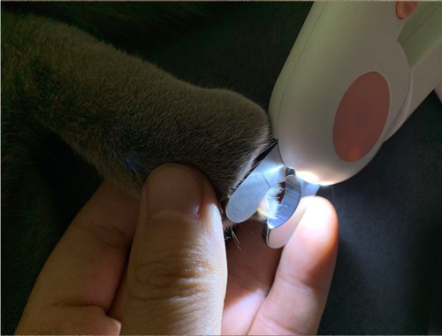 Coupe-ongles LED pour Chat et Chiot — Sécurité Anti-Blessure